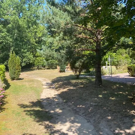 L'art Bizon Alloggio in famiglia Barbizon